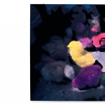 Berend Strik. Deciphering the Artist’s Mind