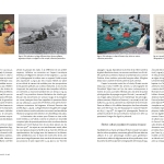 Étretat, par-delà les falaises