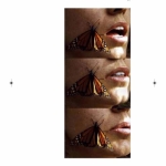 Image(s) d'une collection