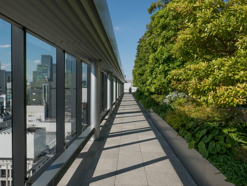 Le jardin japonais moderne