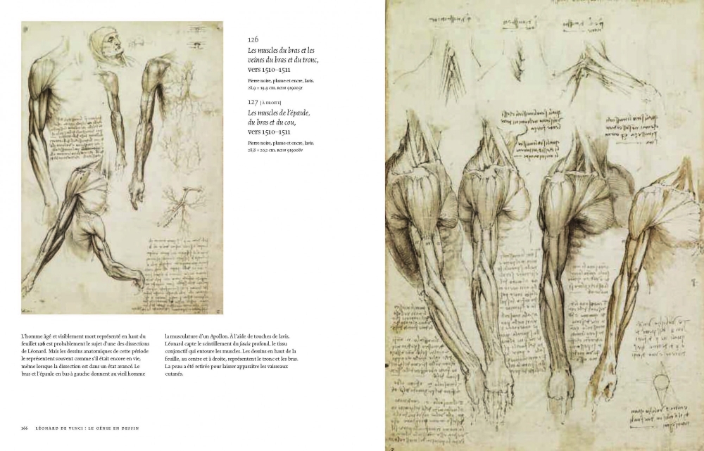 Leonardo da Vinci, tekeningen