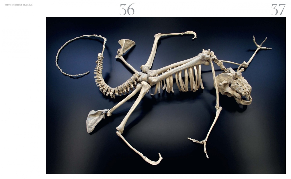 Limited collector’s edition, signed and numbered - Maarten Vanden Eynde