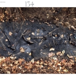 Maarten Vanden Eynde