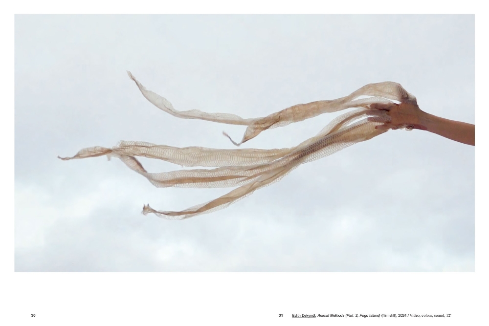 Magical Realism - Réalisme magique