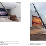 Magical Realism - Réalisme magique