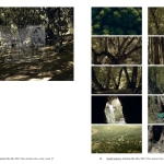 Magical Realism - Réalisme magique