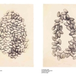 Philip Aguirre y Otegui. L'invitation au Voyage