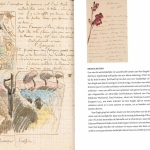 Van Gogh en zijn brieven